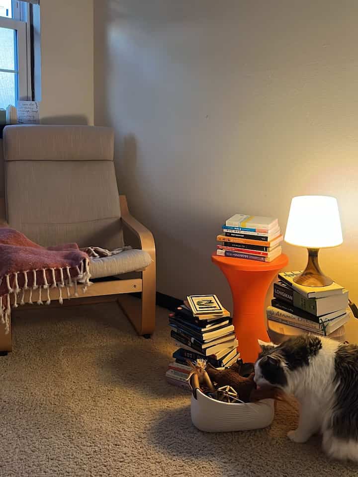 Beige carpet and natural-tone armchair with orange stool holding a table lamp, abundant books, and a cat in a cozy living room corner