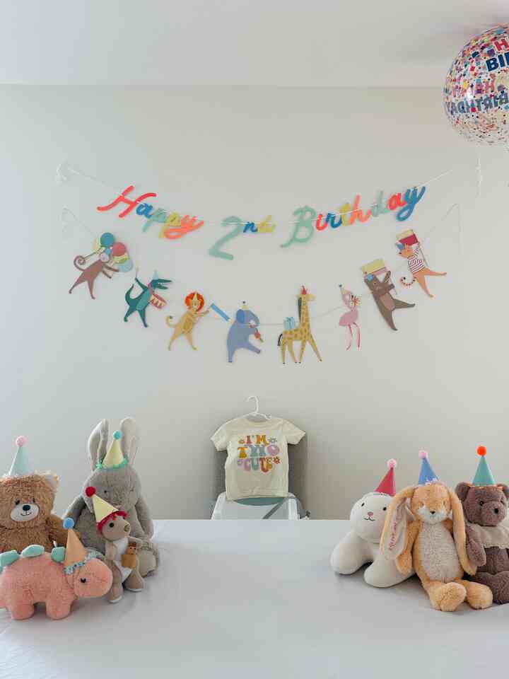 A colorful birthday setup at home for our two-year-old toddler!
#home504 #birthday #birthdayparty #birthdaydecor #borthdaygarland #animalthem 