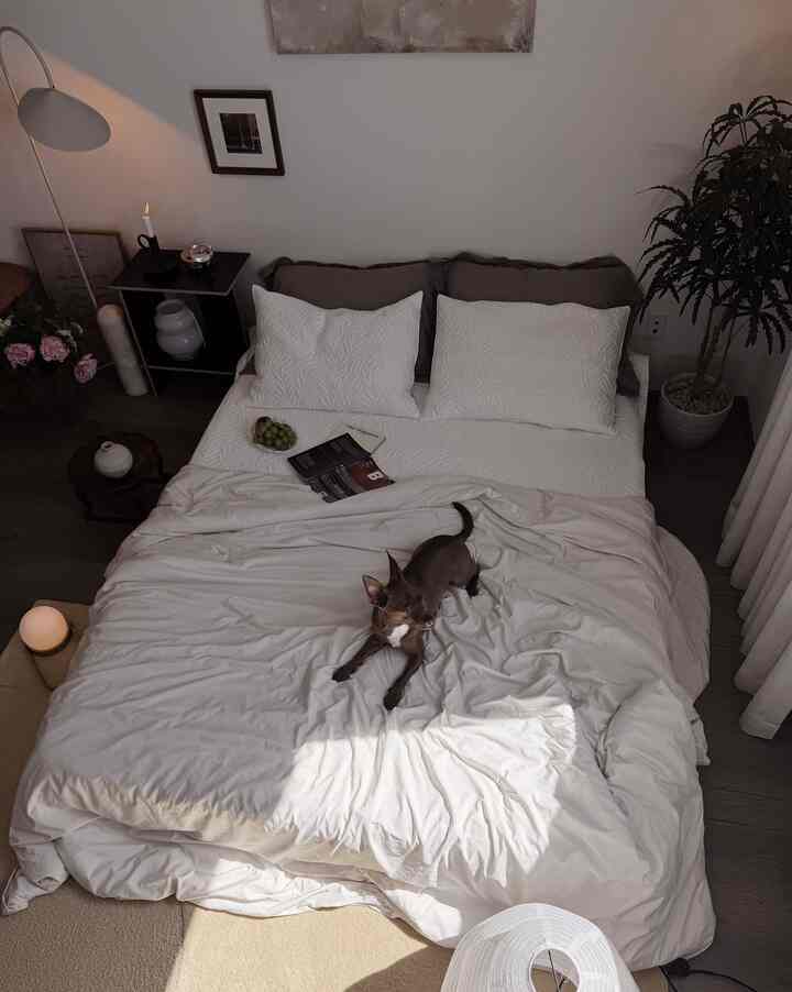 Natural and white toned bedroom featuring a bed with a dog lying on it, creating a cozy atmosphere