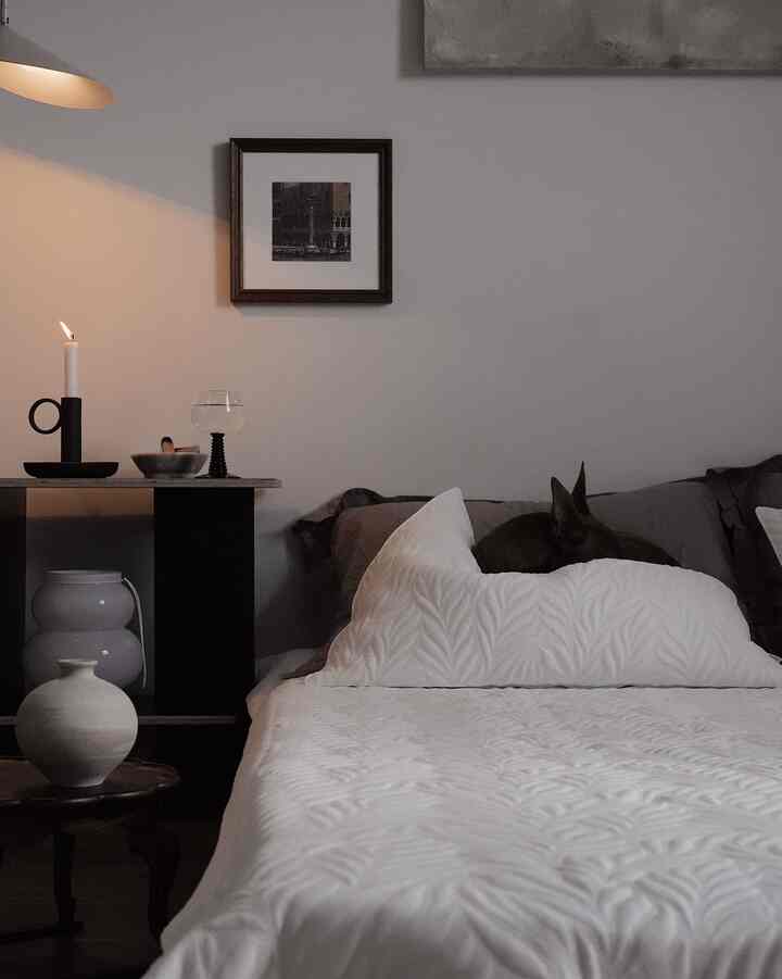 Monotone white and gray bedroom featuring a pet, natural and minimal atmosphere with simple decor