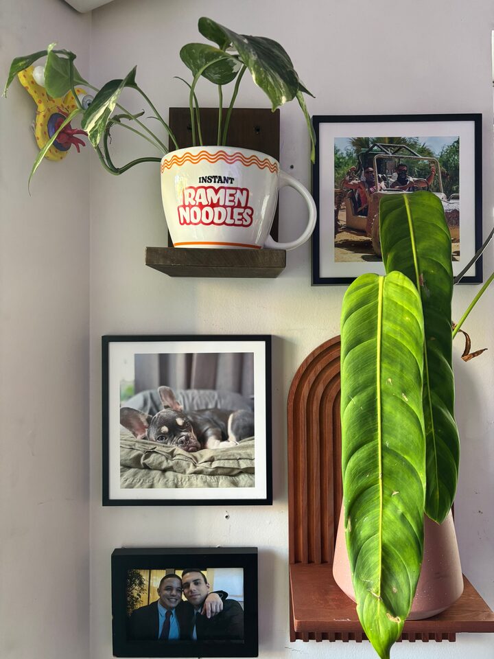 short form carousel card thumbnail