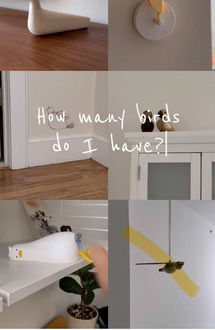 All the birds around my 🏠
I have a thing for bird shaped decor 😆

#interiordecor #decoration #lamp #vitrabird #vitra #mobile #birdsculpture #magis #kaybojesen #eclectic

