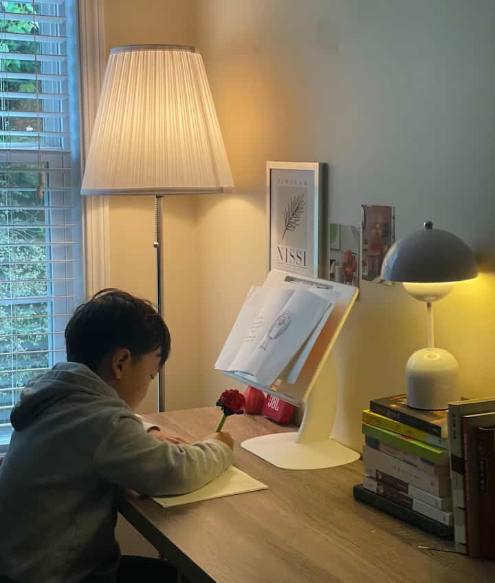 Tagged posts featuring Smooth Faux Wood Blind 3