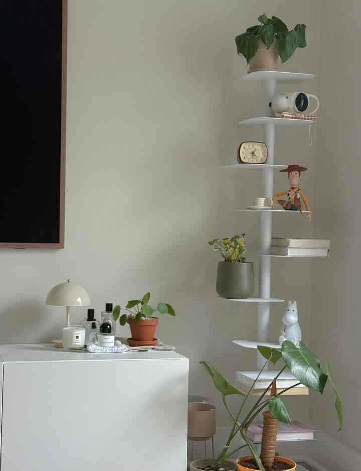 Plant never goes wrong 🌿🌱 But my hubby is getting tired of me brining so much plant to our new house 😆😆 #plantbutler #plant #PlantDeco 