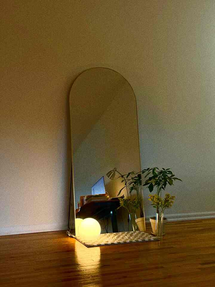 #goldmirror #plantinterior #lightingeffect 