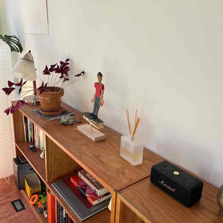 Living room with white walls and wood-toned bookshelf featuring decorative objects and a diffuser