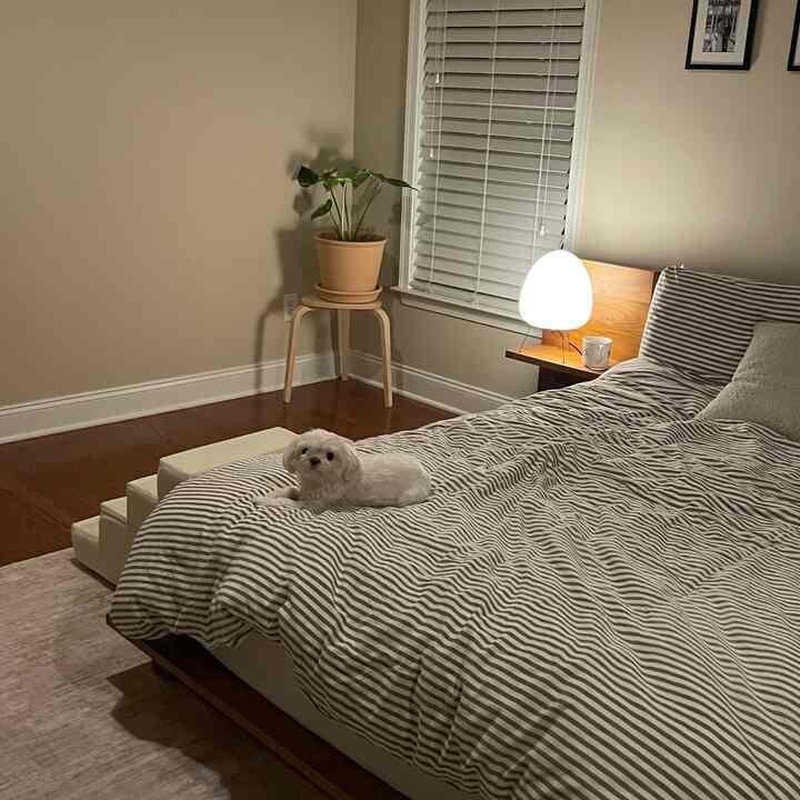 Natural toned bedroom featuring striped bedding and a small dog on the bed for a cozy atmosphere