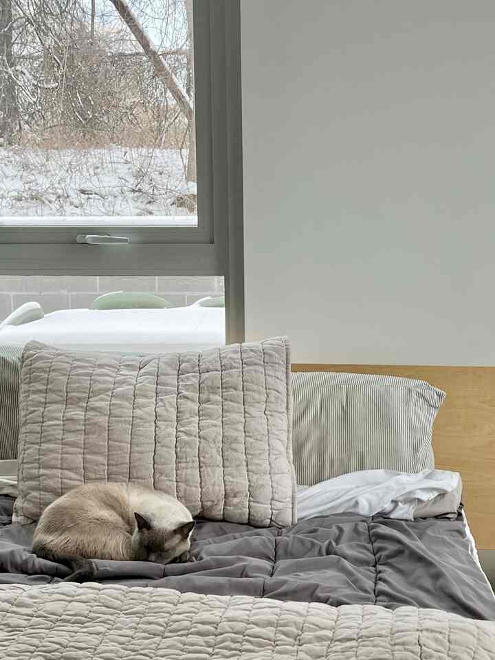 Calm gray and light brown toned bedroom with a cozy bed featuring a sleeping cat