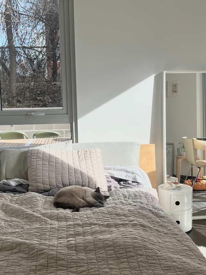 Bright white bedroom with natural wood bed frame, cozy atmosphere featuring a cat sleeping on quilted duvet