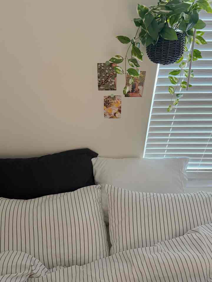 White and navy toned guestroom featuring striped duvet cover, hanging plant, and wall decor in a simple natural bedroom setting