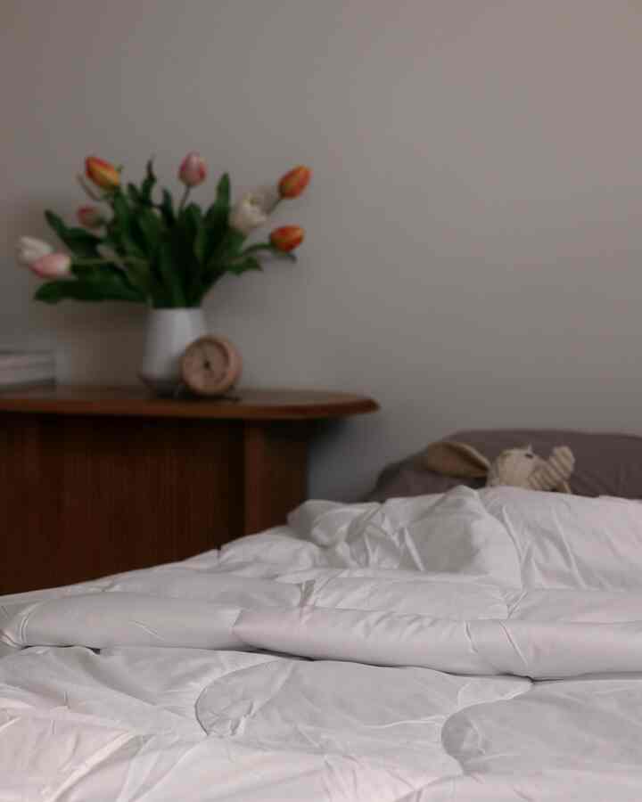 The bunny is napping 😴


#bedroom #bedroominterior #bedroomdecor #bedding #clock #vase #flower #flowerinterior #bench #japandi #neutral #homedcor 