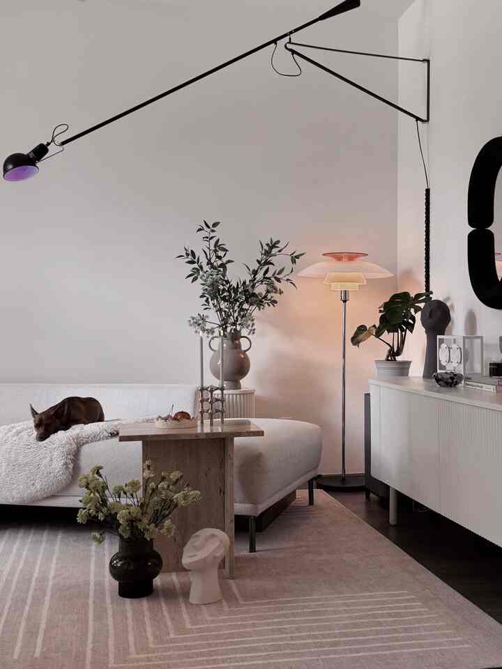 Ivory-toned modern living room featuring a sofa, plants, and a pet dog in a simple harmonious setting