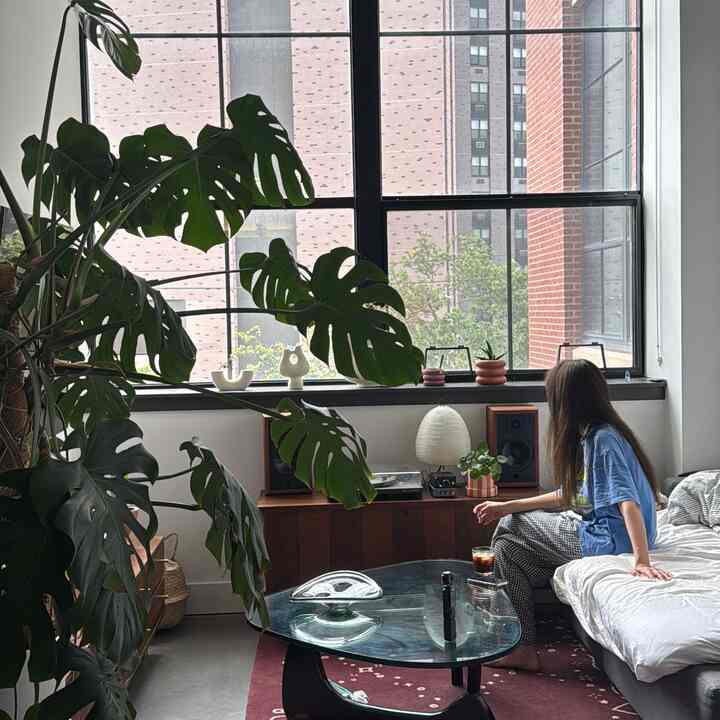White and natural-toned living room featuring large plants, a sofa bed, and a glass coffee table creating a cozy atmosphere