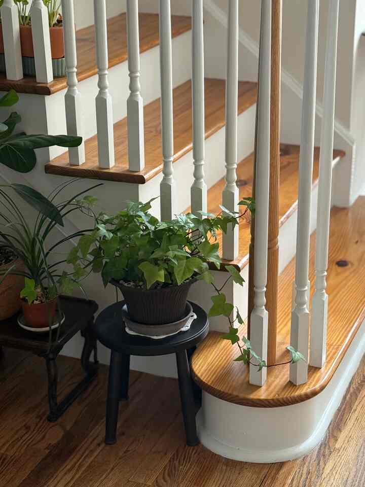Wood-toned staircase with a black stool used as a plant stand, set against white elements in a natural-colored entrance space