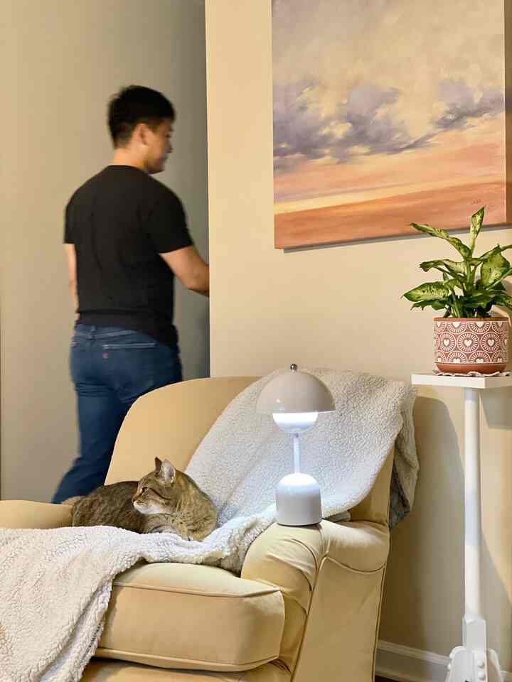 Natural colored living room featuring beige sofa with a cat, table lamp, and wall art creating cozy ambiance