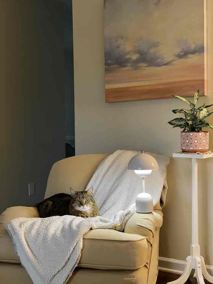 The sofa I ordered for my child’s room has arrived. I bought it from an antique store, and I absolutely love it—it’s spacious enough for me to cuddle my child and read books together 🛋️

#Sofa #minimalliving #minimal #frame 