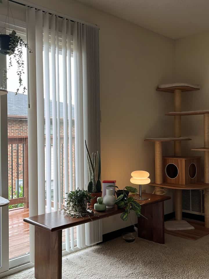 It's a rainy day, making it a perfect opportunity to relax at home after a long trip, care for the plants, and brighten up the space.

#livingroominterior #plantinterior #PlantDeco #benchchair #sidetable #lamp #vase 