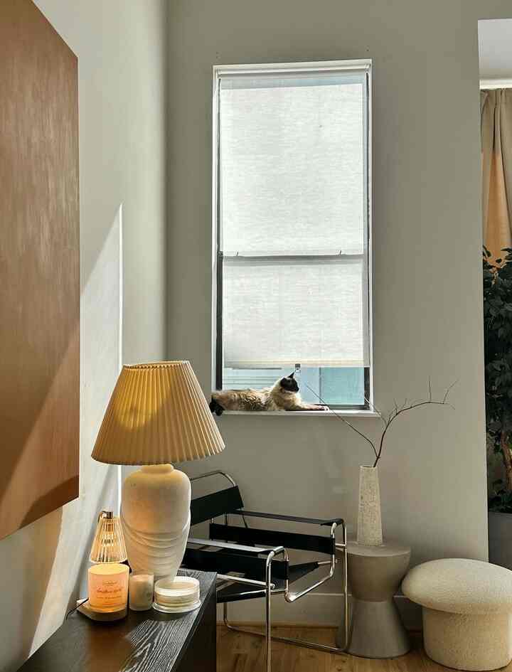 Natural-toned living room with white walls featuring a Wassily chair, side table, and a cat lounging on the windowsill in a cozy setting