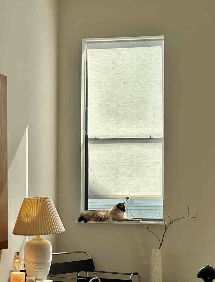 Warm natural-toned living room featuring a cat lounging on the window sill with soft lighting ambiance