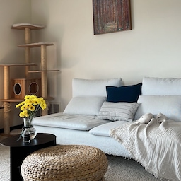 Transforming the cushion's color and rearranging the flowers can truly uplift the space. 💛
#livingroominterior #sofa #sidetable #vase 
