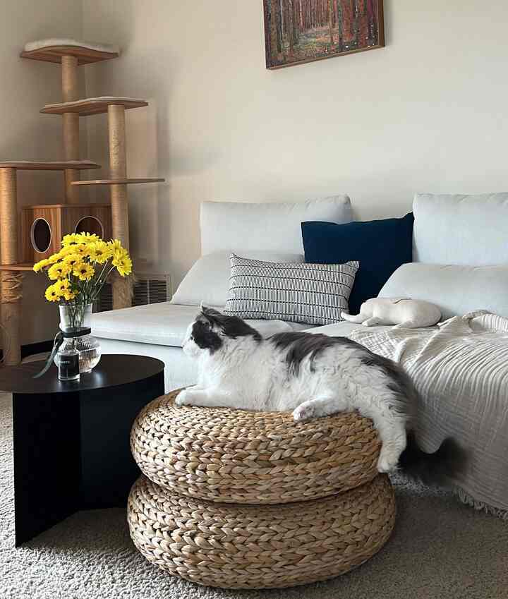 White and natural toned living room featuring a cat on stacked stools, with a vase and side table arranged in a cozy setting