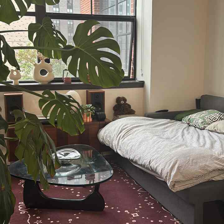 Natural toned small single household living room and bedroom featuring dark gray sofa bed, wood tone sideboard, wine-red rug, and plants