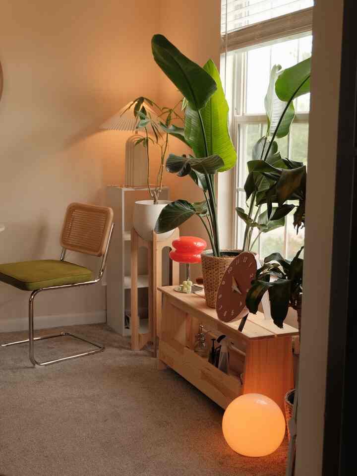 It’s all in the details :) looking to repot my birds of paradise pretty soon! I think it’s outgrowing its pot 

#plantinterior #PlantDeco #ikeapictureframe 