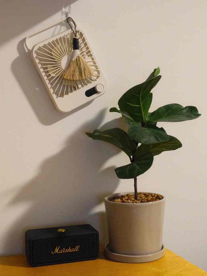 Late friday night home office vibe. 

#homeoffice #marshall #bluetoothspeaker #deskfan #vitra #toolbox #officeinterior #shelf #artek #artekshelf #calm #latenightvibes