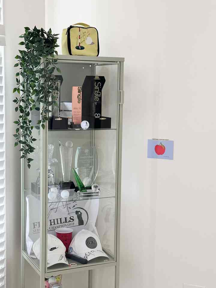 Golf season is start ! 
I clean up my trophy case 💚💚💚⛳️🏌🏻‍♀️

#glasscase #glasscabinet #cabinet #ikea #ikeacabinet #clean #weekend #simple #bookcase 