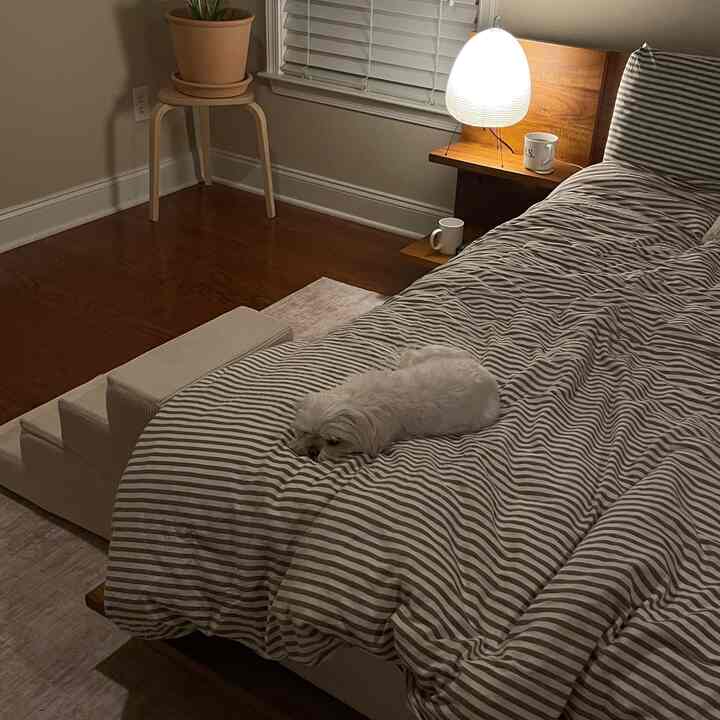 Natural-toned bedroom featuring a bed, pet steps, and stool for a dog creating cozy atmosphere