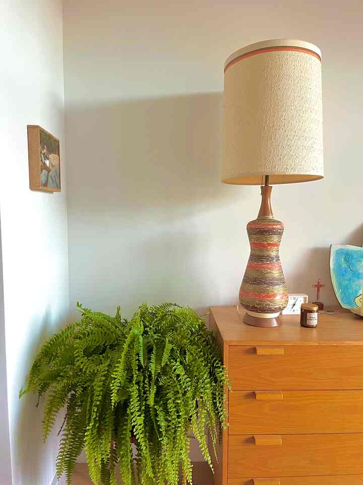 Natural tone living room featuring a wooden dresser with vintage-style large lamp, clock, and a vibrant fern on a plant stand, creating a cozy space