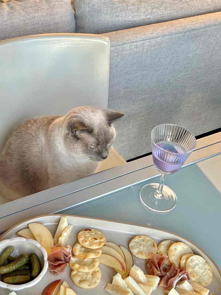 Minimalist dining room in white and gray tones featuring a serving dish, glass, and a cat sitting on a chair