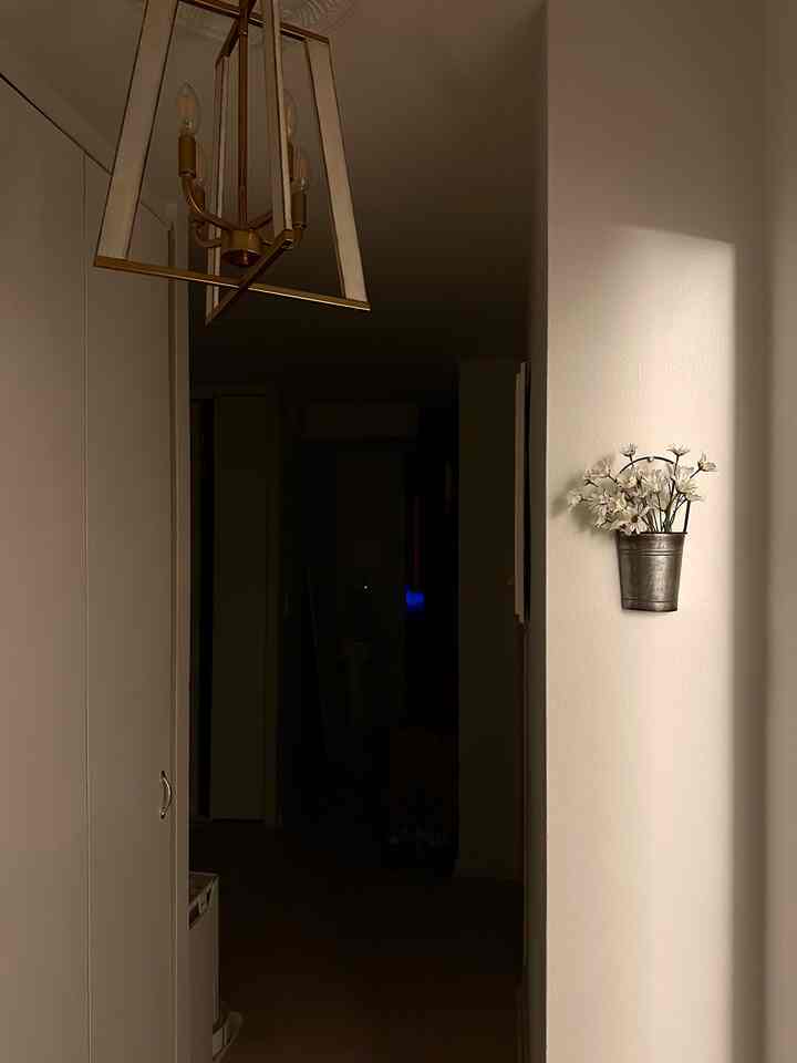 I have been wanting to have a decor piece on my wall right next to my bedroom door, and I found the perfect wall basket with the perfect Spring/Summer faux flowers. 

Makes me happy regardless of night or day. 💐 Do you have any flowers on the wall? 

#dayvsnight #dayaesthetic #nightaesthetic #wallbasket #flower