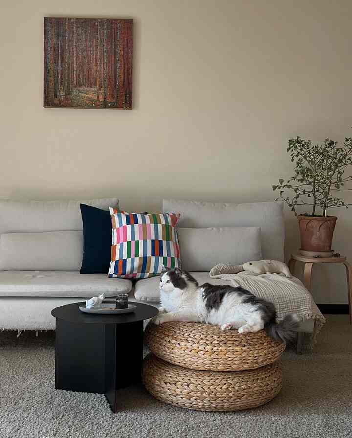 Beige-toned room with natural material sofa and rattan stools featuring a cat resting comfortably in a cozy living room