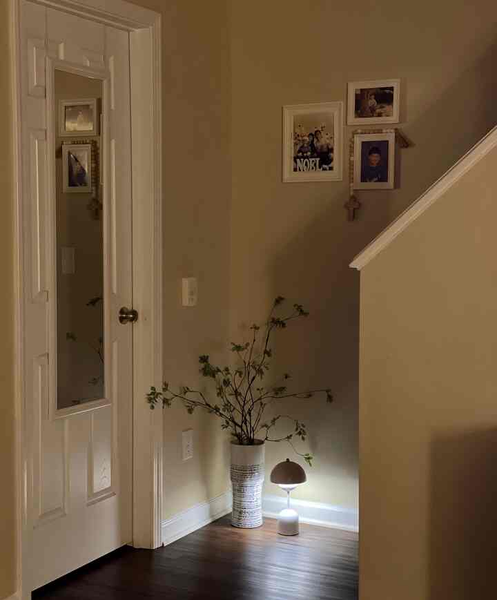 Even in the quiet of night, the vibrant greens stay beautifully alive 💚

#cozylivingroom #itsmyhouseandilivehere #itsmyhouse #cozyconer #greengreen 