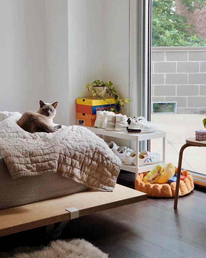 Bright natural light bedroom featuring a cat resting on a quilted blanket, with a white shoe shelf and orange pet bed by the window, reflecting a natural ambiance
