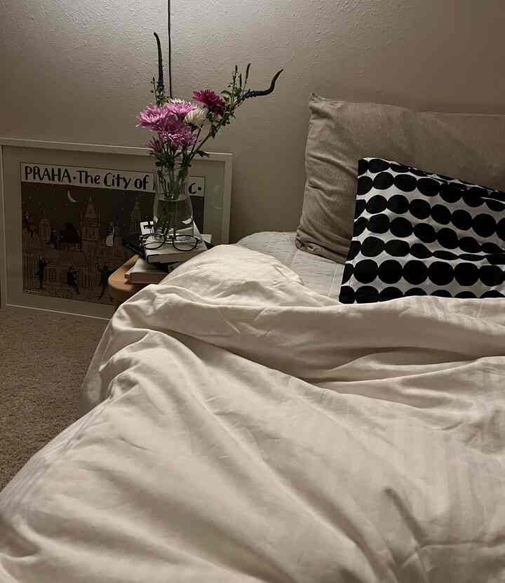 A cozy bedroom in warm brown and white tones featuring bed, cushions, a picture frame, and wall sconce lighting