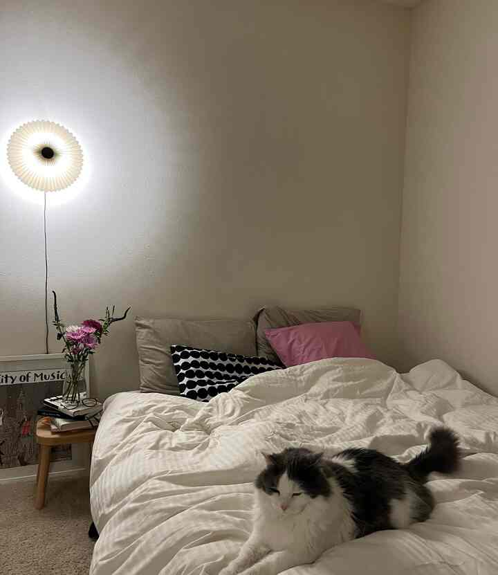White-toned bedroom featuring a bed with bedding and pillows center-right, wall sconce and nightstand on left, and a cat lying on the bed.
