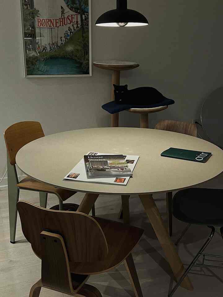 Modern home office dining room with natural wood tones and white walls featuring round dining table and black cat on cat tower