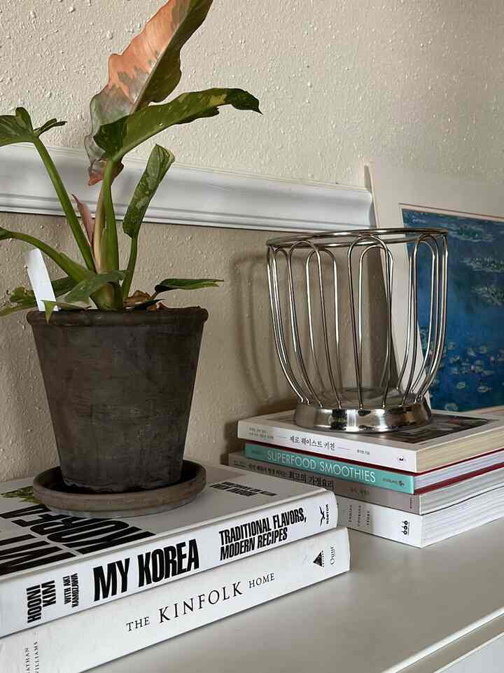 Beige wall and white drawer featuring stacked books, a metal basket, and a potted plant in a cozy two-person household entrance