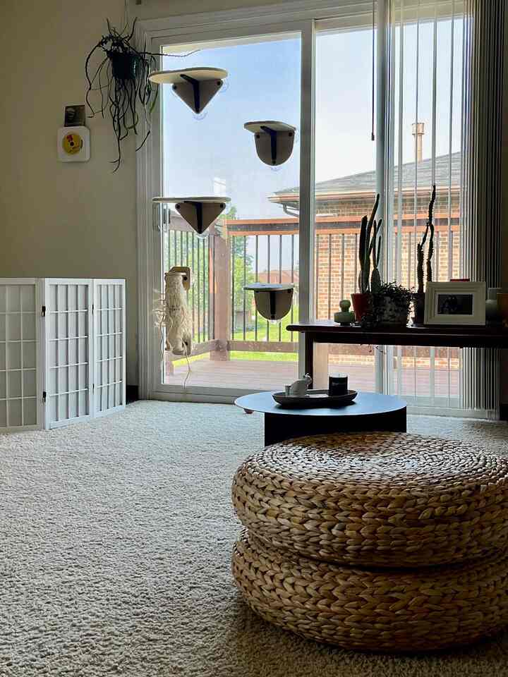 White dominant living room featuring cat shelves by the window and natural brown woven stools conveying cozy atmosphere