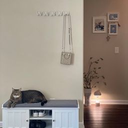 A quiet afternoon. 
Sunlight gently slides down the wall, and the cat stays right where it always does. In the rush of a busy day, a small moment of peace lingers here 💛
#entrance #smallhouse 