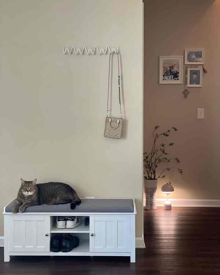 A quiet afternoon. 
Sunlight gently slides down the wall, and the cat stays right where it always does. In the rush of a busy day, a small moment of peace lingers here 💛

#entrance #smallhouse 