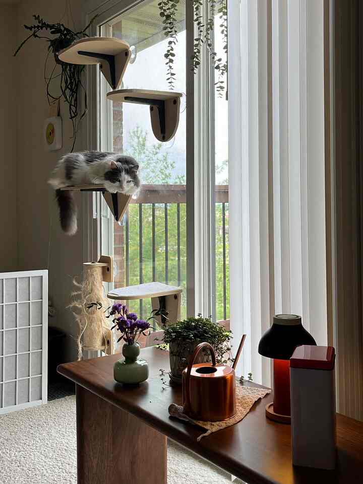 Cozy living room with wood-tone table and cat tower beside transparent window, designed for living with a cat