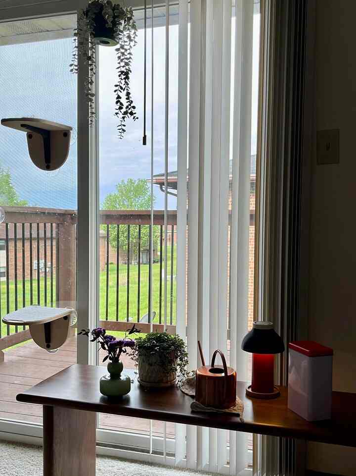 It's my house I live here- 

I absolutely love having plants around, so I’ve turned my dining bench into a cozy plant shelf by the balcony! My furry friend loves it too—he uses it as a little staircase to jump up to his favorite window perch. It’s a win-win for both of us!

#plantinterior #petfreindly #bench #hay #lamp 