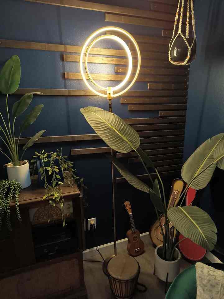 Navy wall with wood tone wall decor, featuring a circular LED floor lamp and assorted plants in a cozy interior