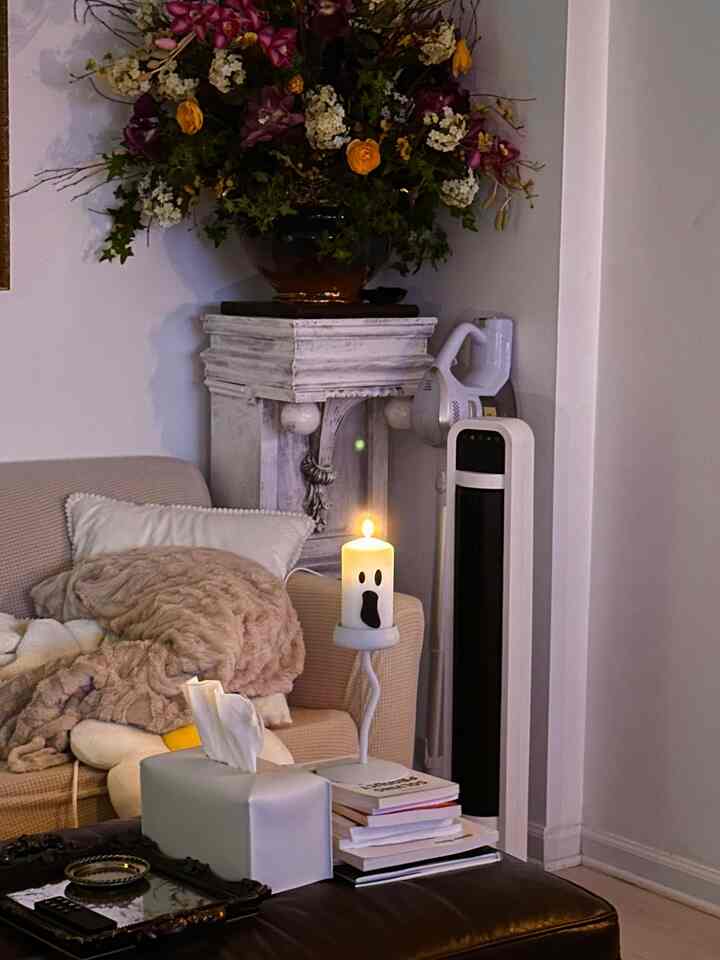 Tip for seasonal decor: Purchase Halloween decor in Summer for a sizable discount and enjoy Summerween. 

Statistics show people who enjoy Summerween are happier. 👻

#summerween #seasonaldecor #halloween #frenchmodern 