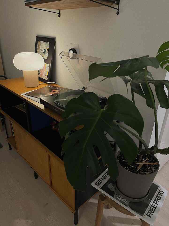 Beige and wood-tone compact entrance corner featuring audio player, lamp, and lush plant with cozy atmosphere