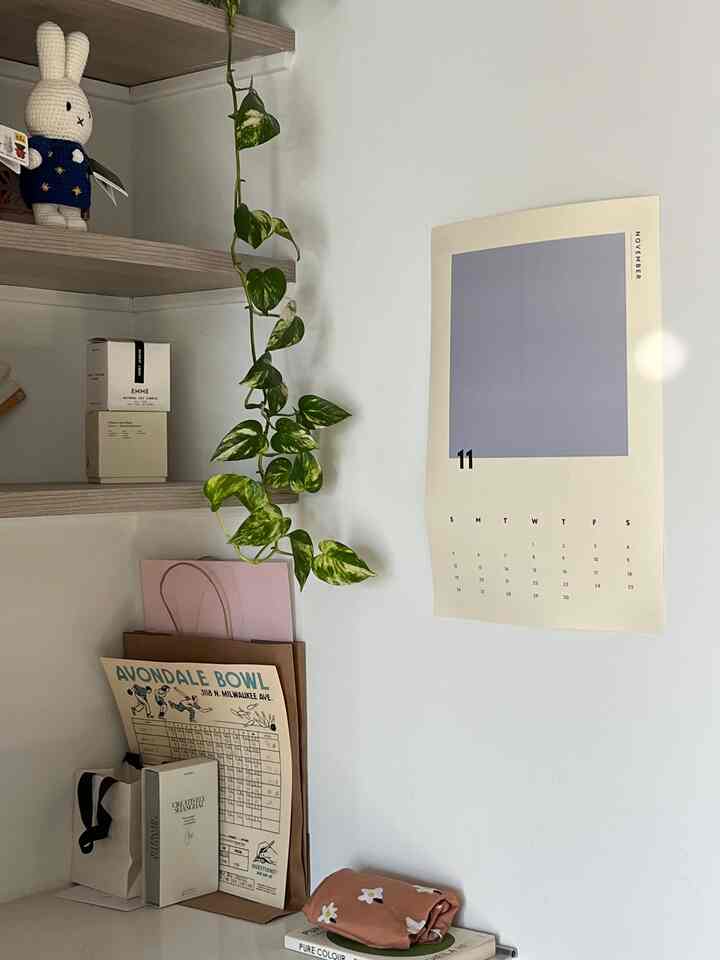 White and wood tone home office workspace featuring hanging plant and wall poster with cozy minimal decor
