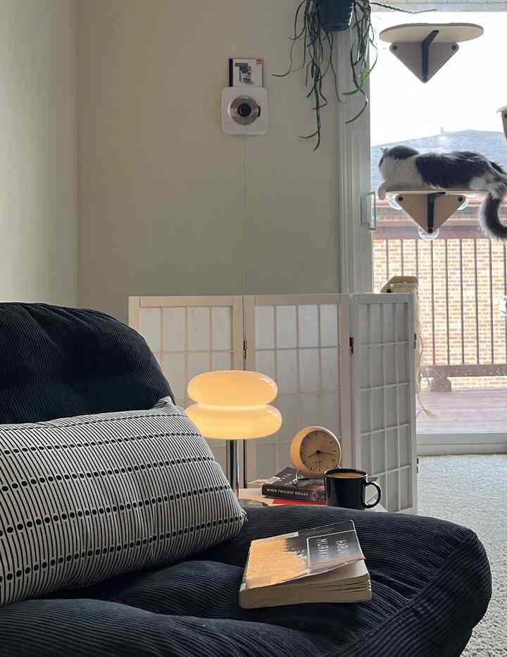 Cozy modern study with black armchair, white walls, and a cat on a wall-mounted perch beside a bright window